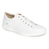 Men's Colle Lace-to-Toe Sneaker