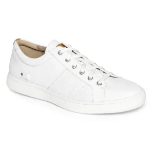 Men's Colle Lace-to-Toe Sneaker