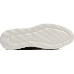 Men's Colle Lace-to-Toe Sneaker
