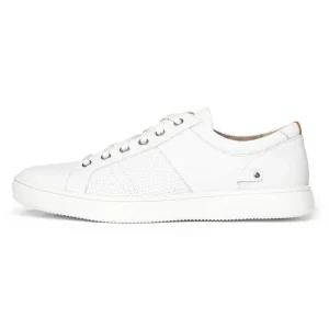 Men's Colle Lace-to-Toe Sneaker
